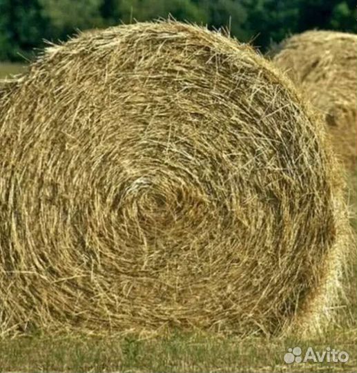 Сено в рулонах