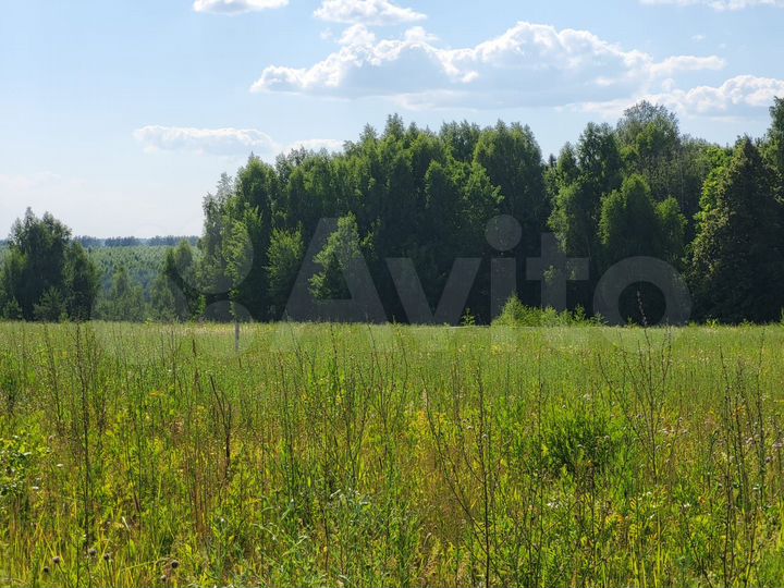 Участок 10 сот. (ИЖС)