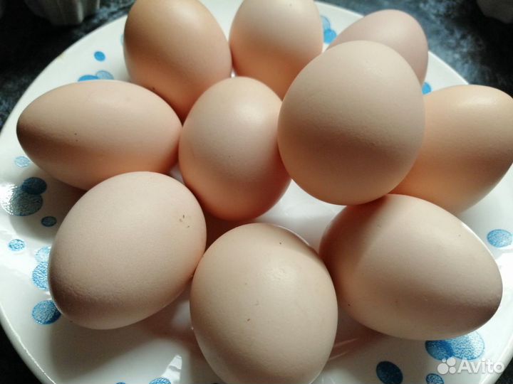 Яйца домашние