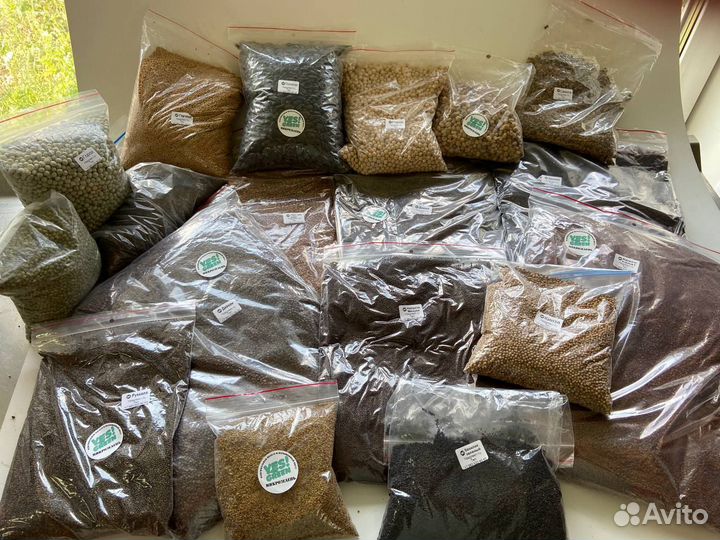 Семена для выращивания микрозелени и проростков