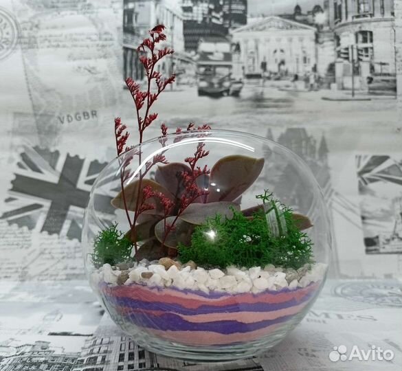 Флорариум из суккулентов