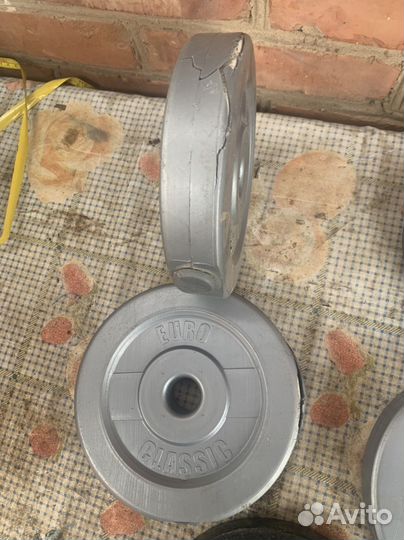 Грифы, блины