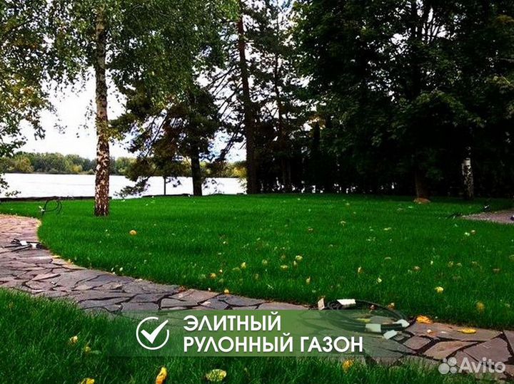Рулонный газон под ключ
