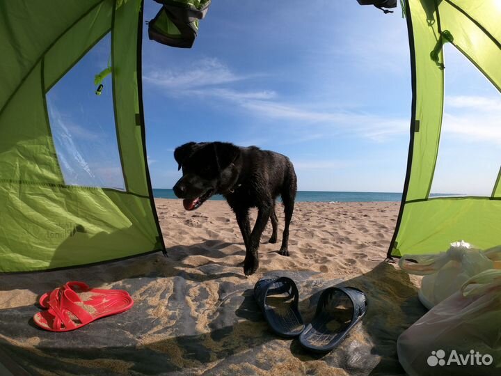 Палатка Trek Planet Bergamo 2