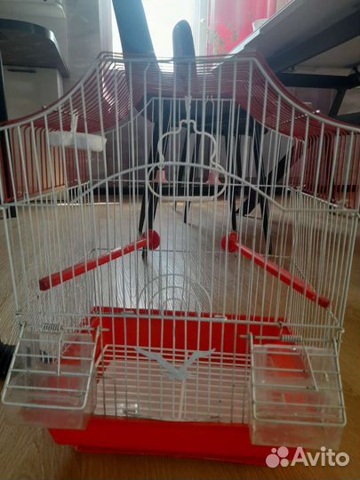 Клетка для попугая