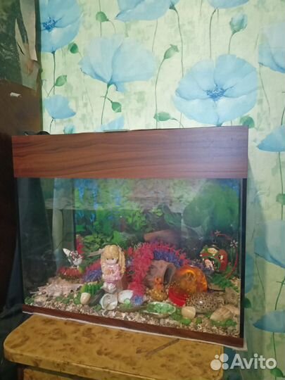 Аквариум