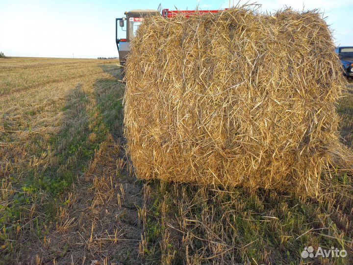Солома в тюках с доставкой