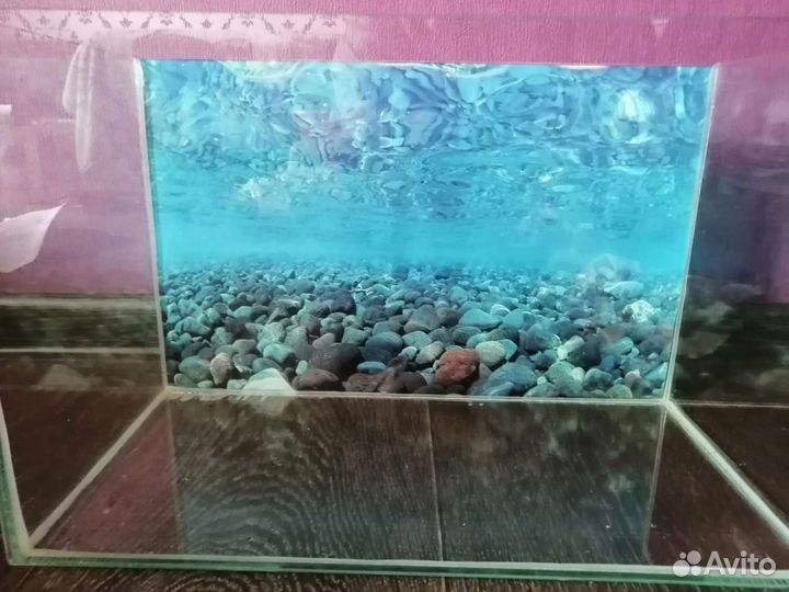 Аквариум