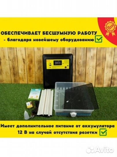 Инкубатор для яиц