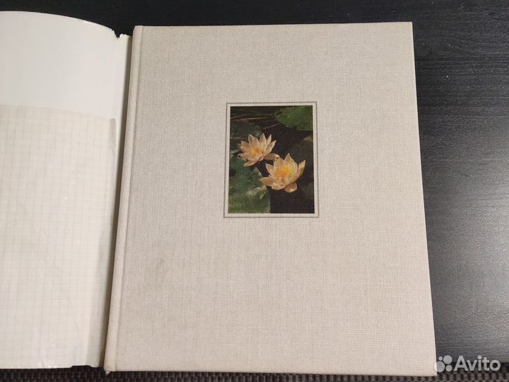 Заповедная Мещера