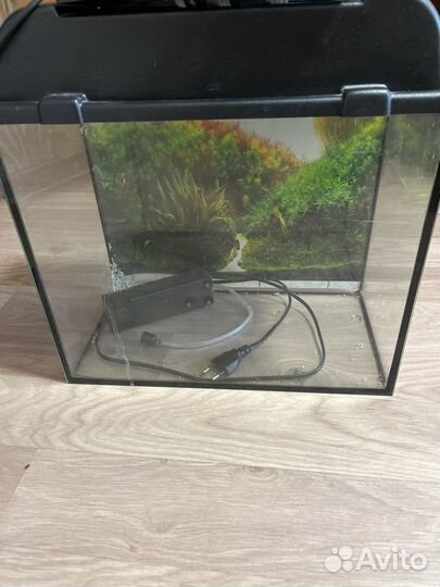Аквариум