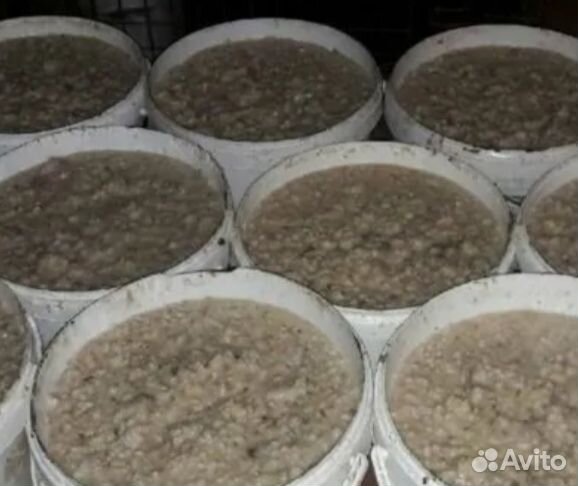 Пищевые отходы