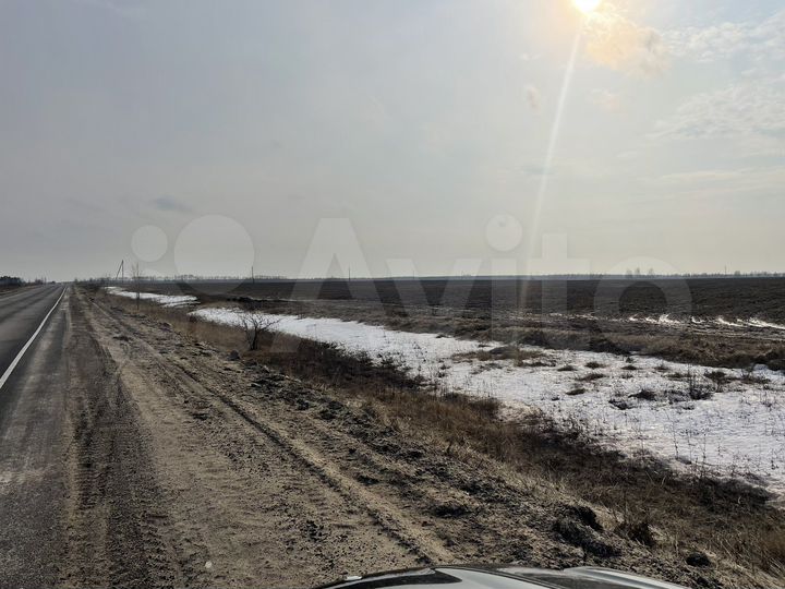 Участок 310 га (СНТ, ДНП)