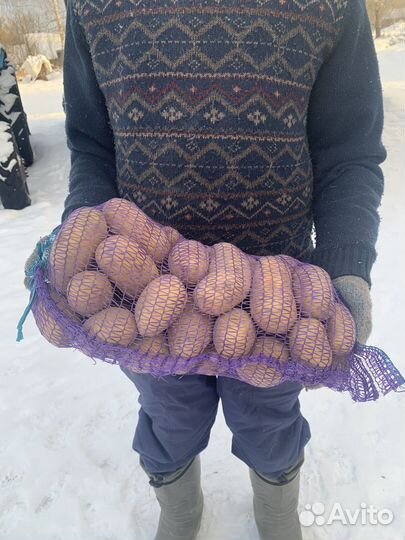 Продукты питания