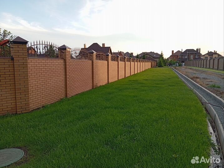 Посев газона.Ремонт, восстановление,чистка газона