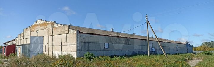 Здания на земельном участке 4 га