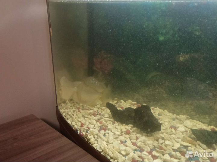 Украшение для аквариума