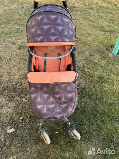 Коляска прогулочная rant