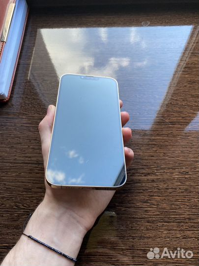 iPhone 13 pro max 256gb