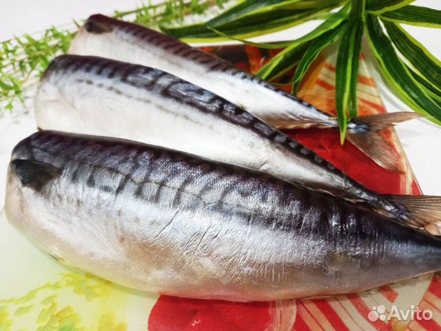 Скумбрия провесная сп