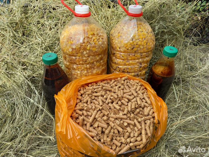 Набор для бюджетной рыбалки