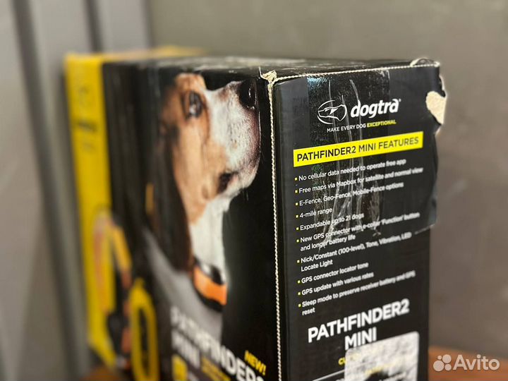 Dogtra Pathfinder 2 mini