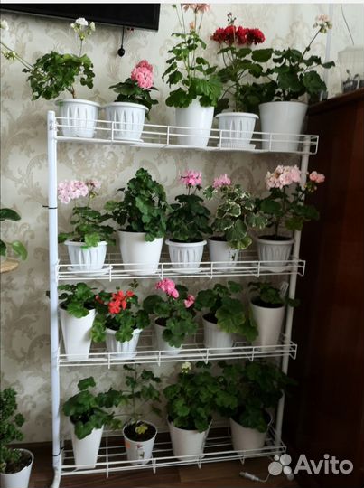 Стеллаж для цветов бу