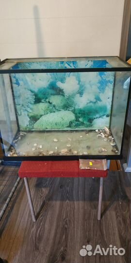 Аквариум с принадлежностями