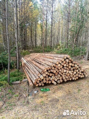 Рабочие в лес