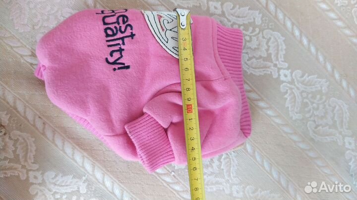 Одежда для собак