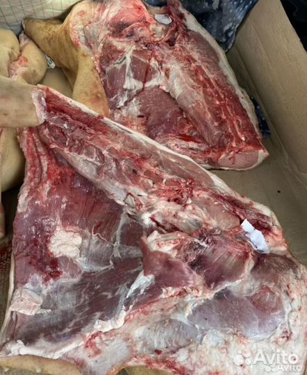 Мясо свинина в полутушах
