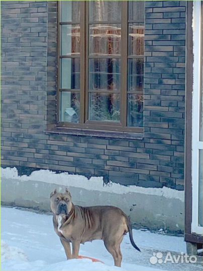 Клинкерные термопанели