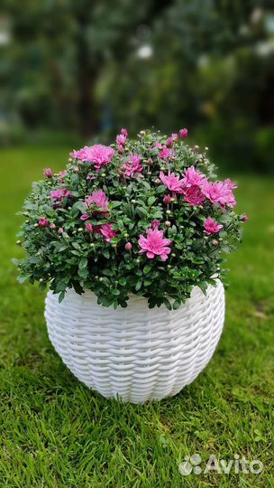 Кашпо из искусственного ротанга