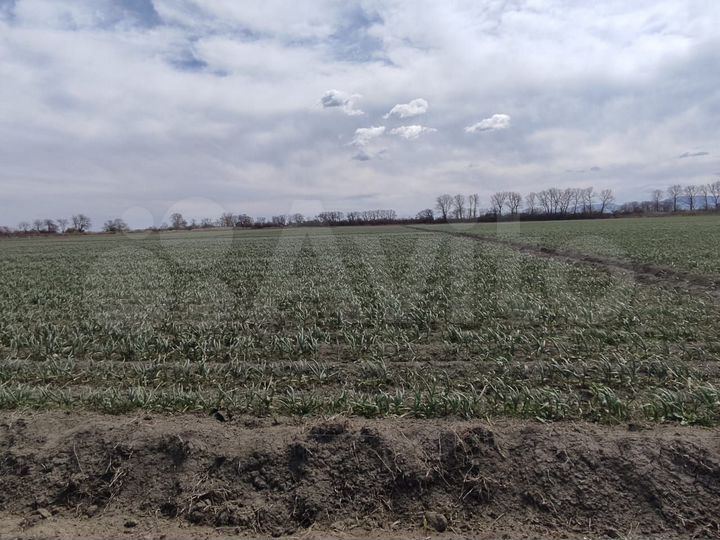 Участок 100 сот. (СНТ, ДНП)