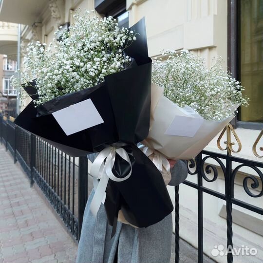 White Gypsophila. Bouquets of Gypsophila