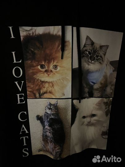 Balenciaga i love cats hoodie худи