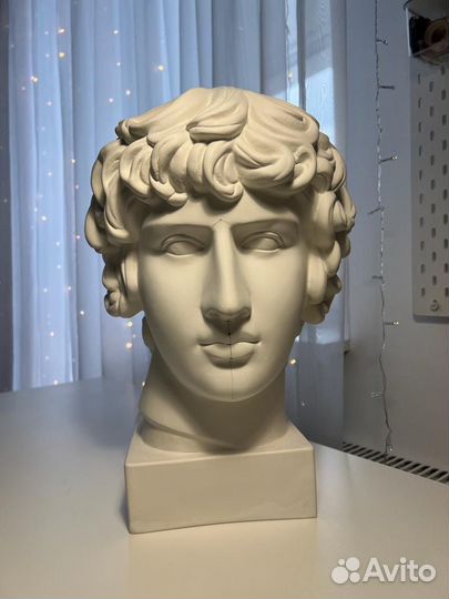 Гипсовая голова Антиной