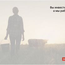 Аграрный портал в городе Алчевск, Алчевск