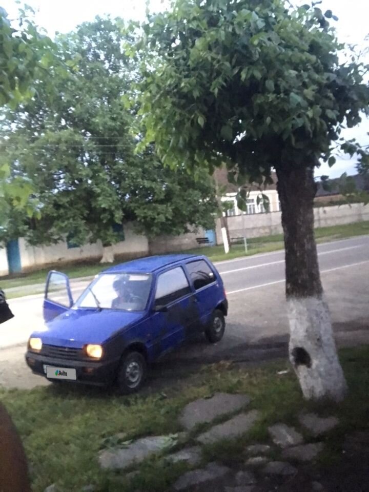 ВАЗ (LADA) 1111 Ока: фото владельца