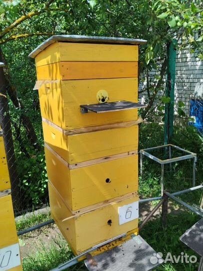 Пчелы и улья