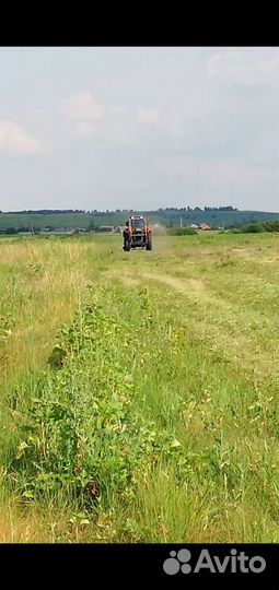 Сырьевое молоко(оптом)
