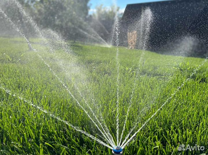 Рулонный газон