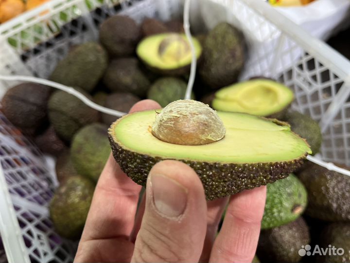 Авокадо Хасс