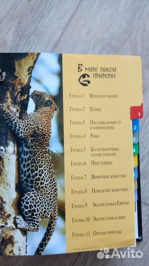 Энциклопедия 