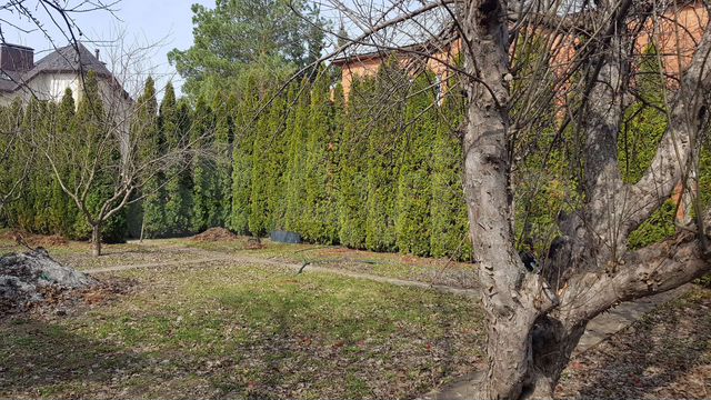 Участок 4 сот. (СНТ, ДНП)