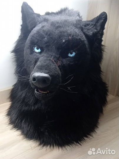 Фурсьют волка