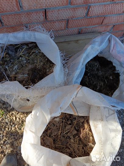 Куринный помет