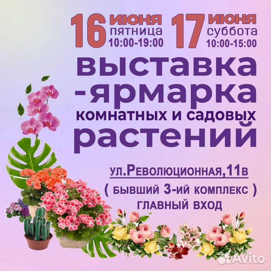 Выставка цветов