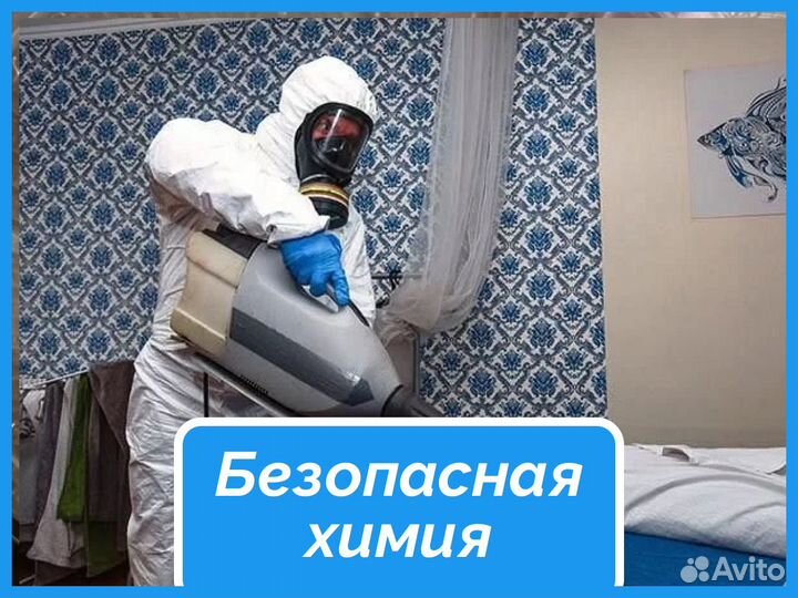 Дезинфекция. Уничтожение тараканов,клопов,грызунов