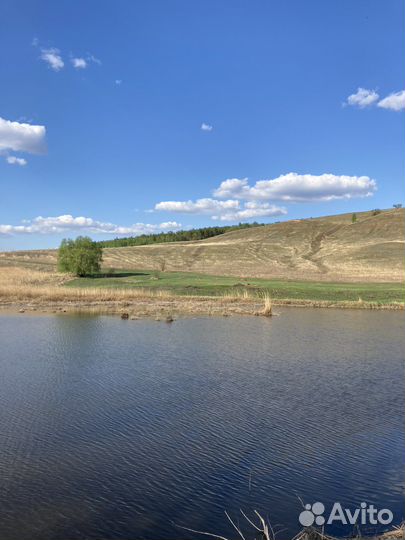 Платная рыбалка